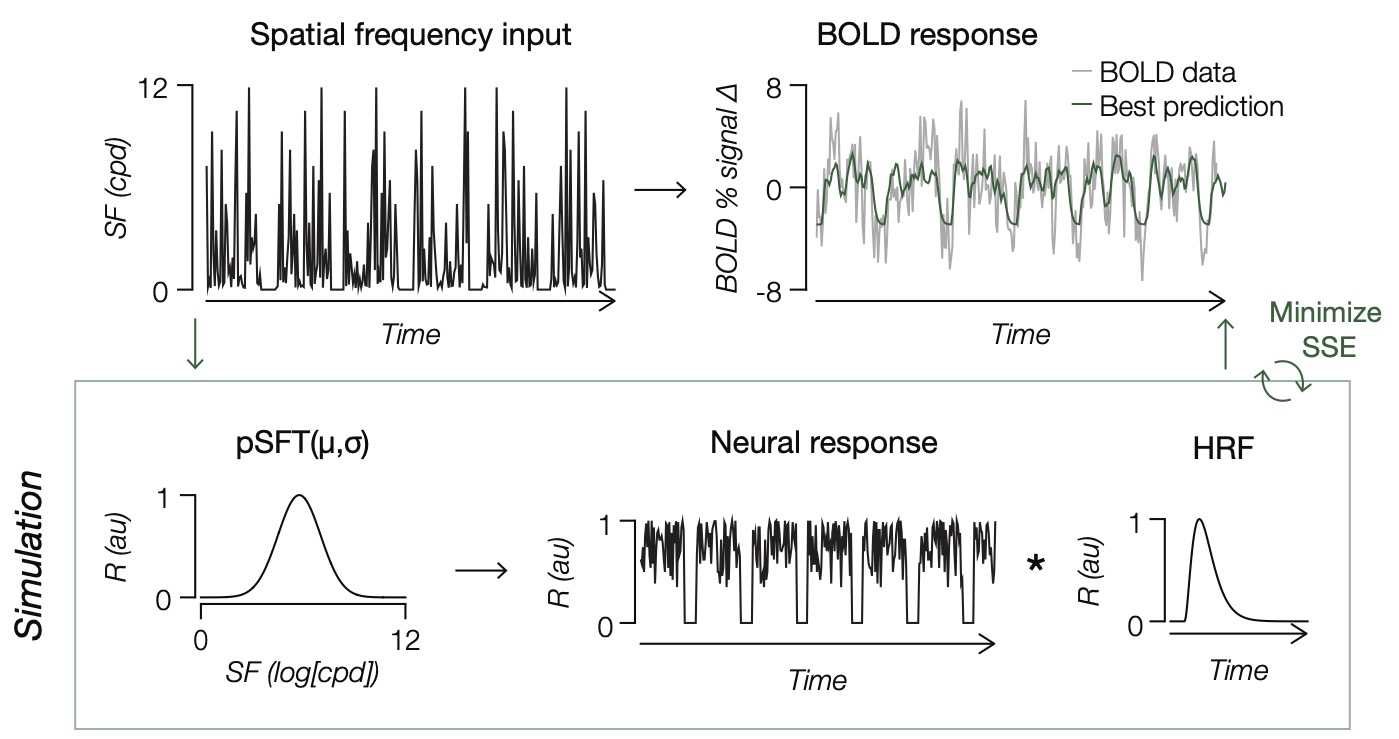 The Population Spatial Frequency Toolbox Figure